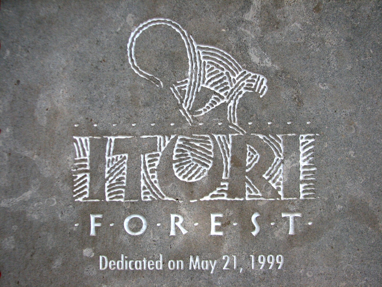 Lost Forest - Ituri Forest - Sign