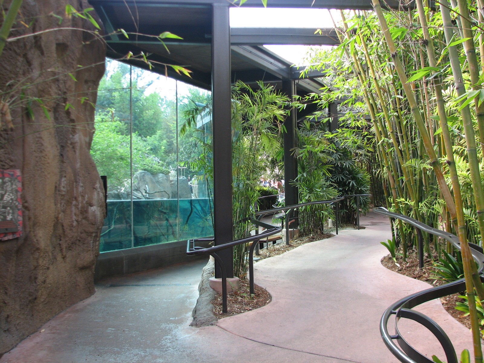 Lost Forest - Ituri Forest - Viewing Shelter