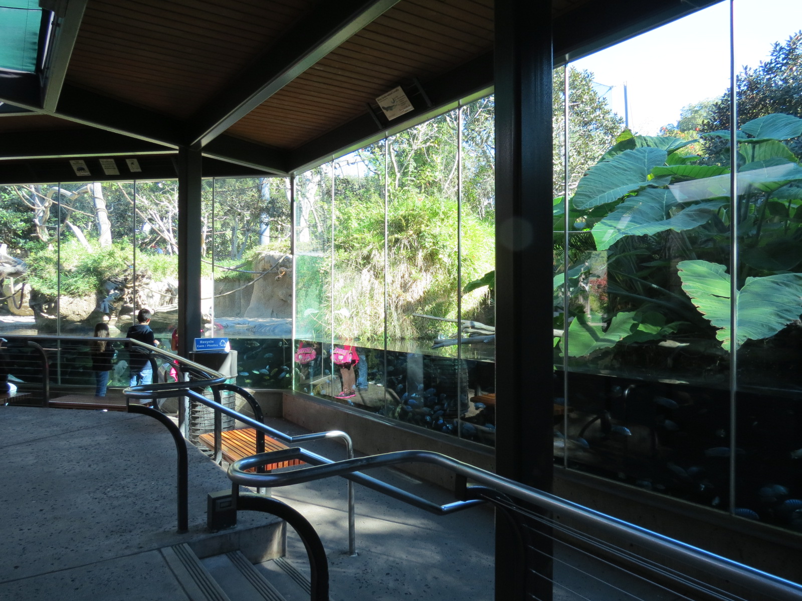 Lost Forest - Monkey Trails and Forest Tails - African Slender-snouted Croc