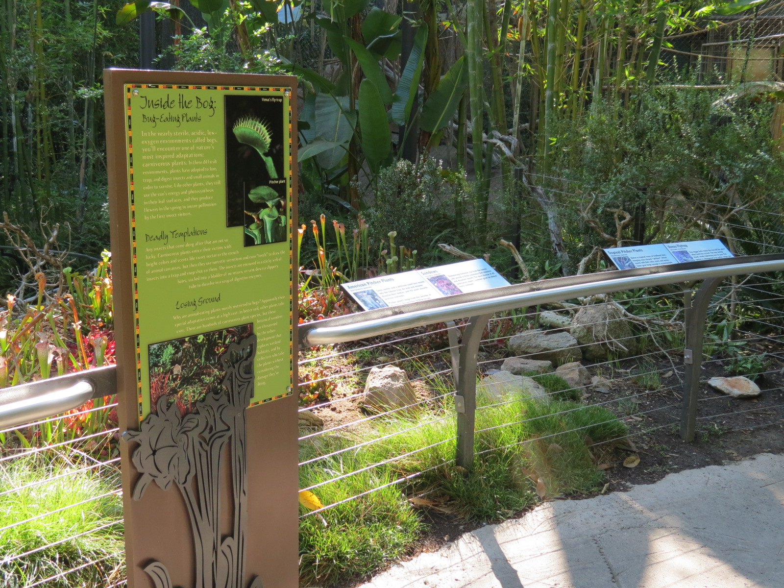 Lost Forest - Monkey Trails and Forest Tails - Bog Exhibit