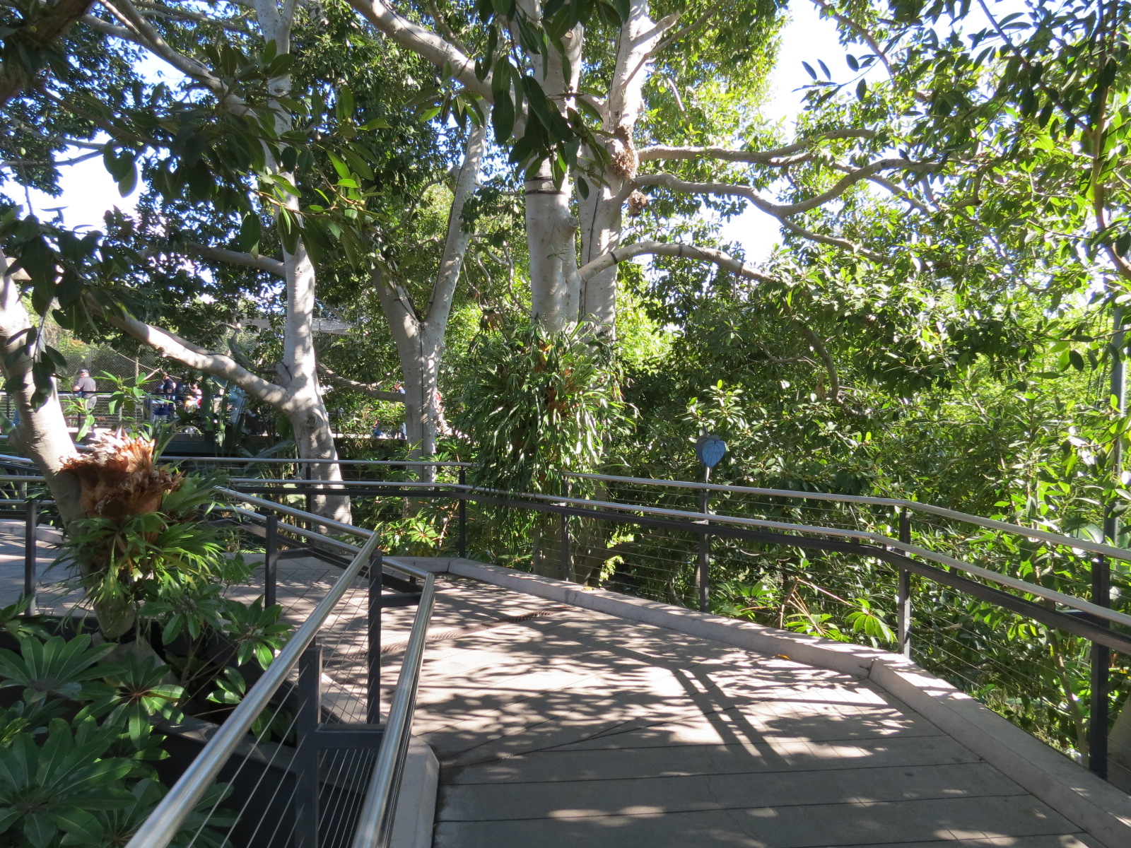 Lost Forest - Monkey Trails and Forest Tails - Elevated Walkway