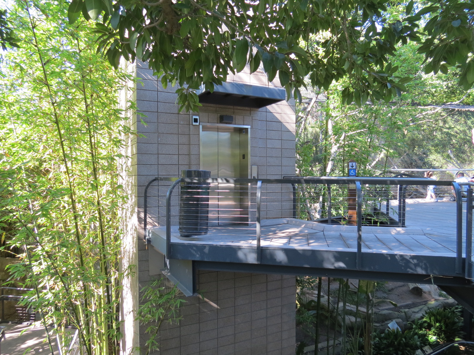 Lost Forest - Monkey Trails and Forest Tails - Elevated Walkway