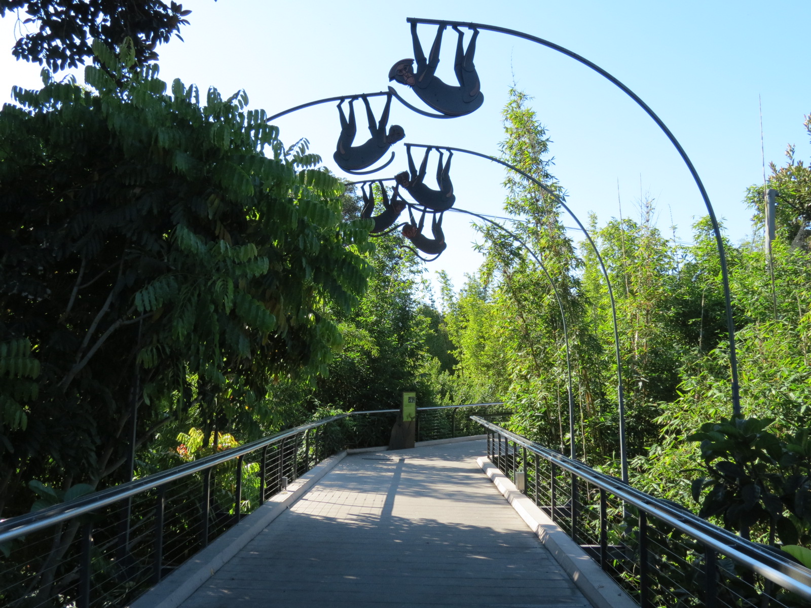 Lost Forest - Monkey Trails and Forest Tails - Entry Walkway