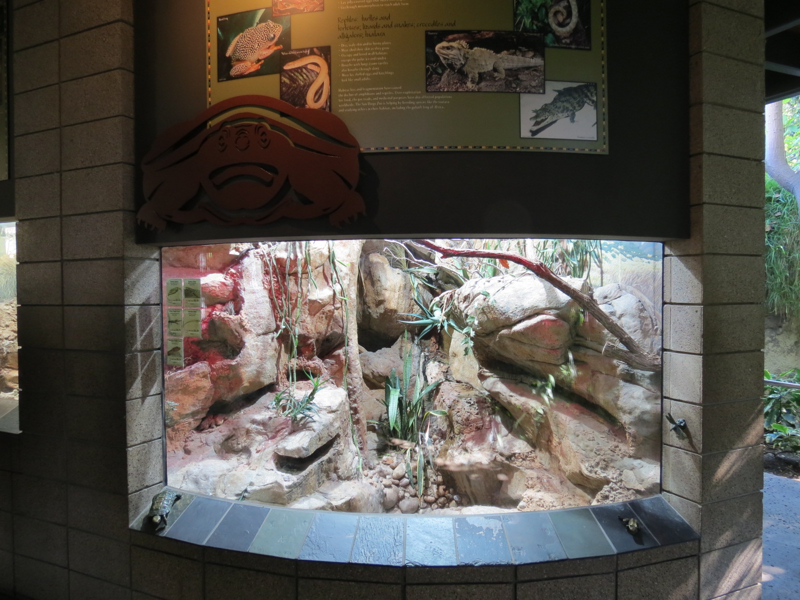 Lost Forest - Monkey Trails and Forest Tails - Gorongosa Girdled Lizard and