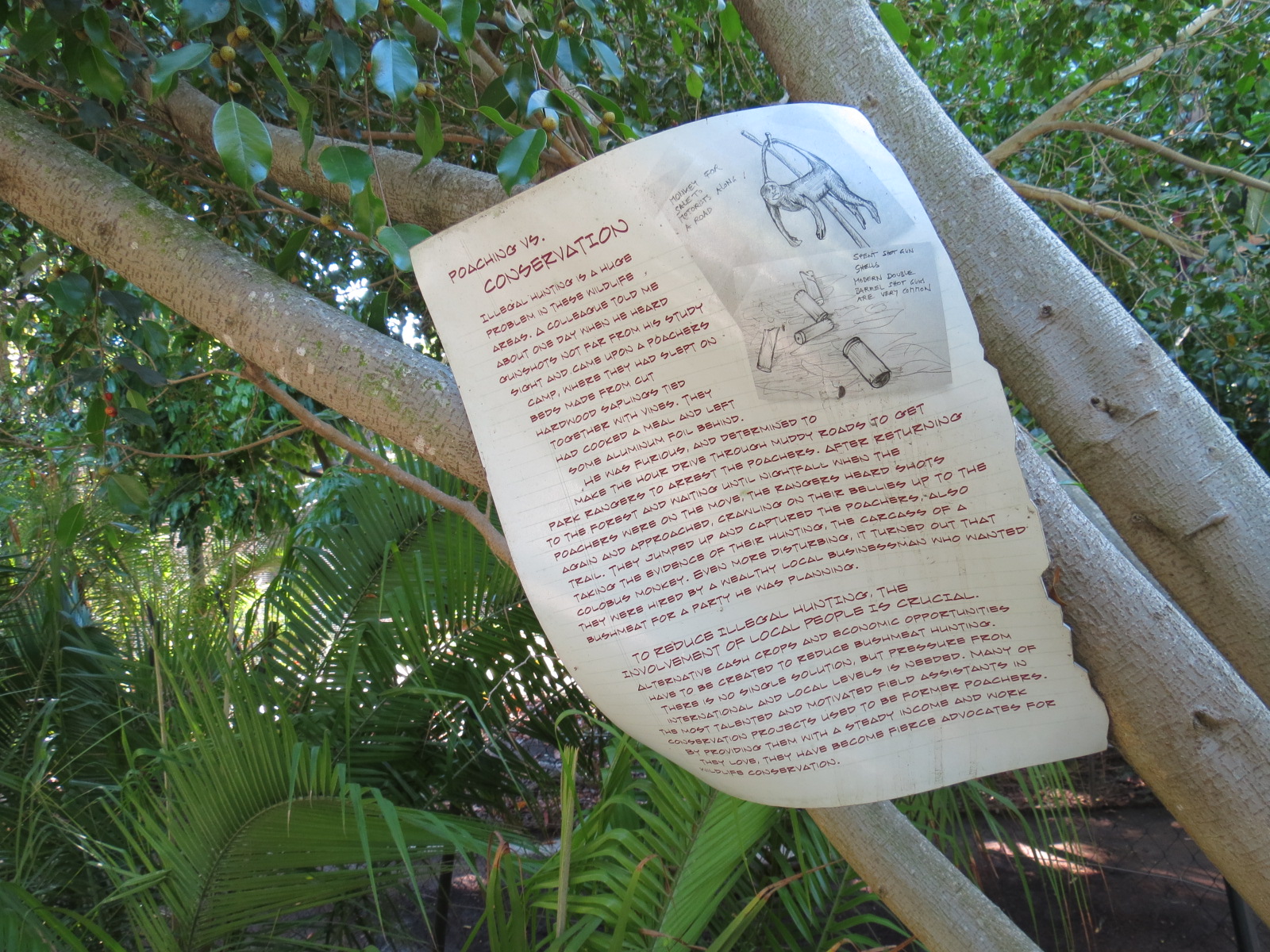 Lost Forest - Monkey Trails and Forest Tails - Interpretive Field Note Sign