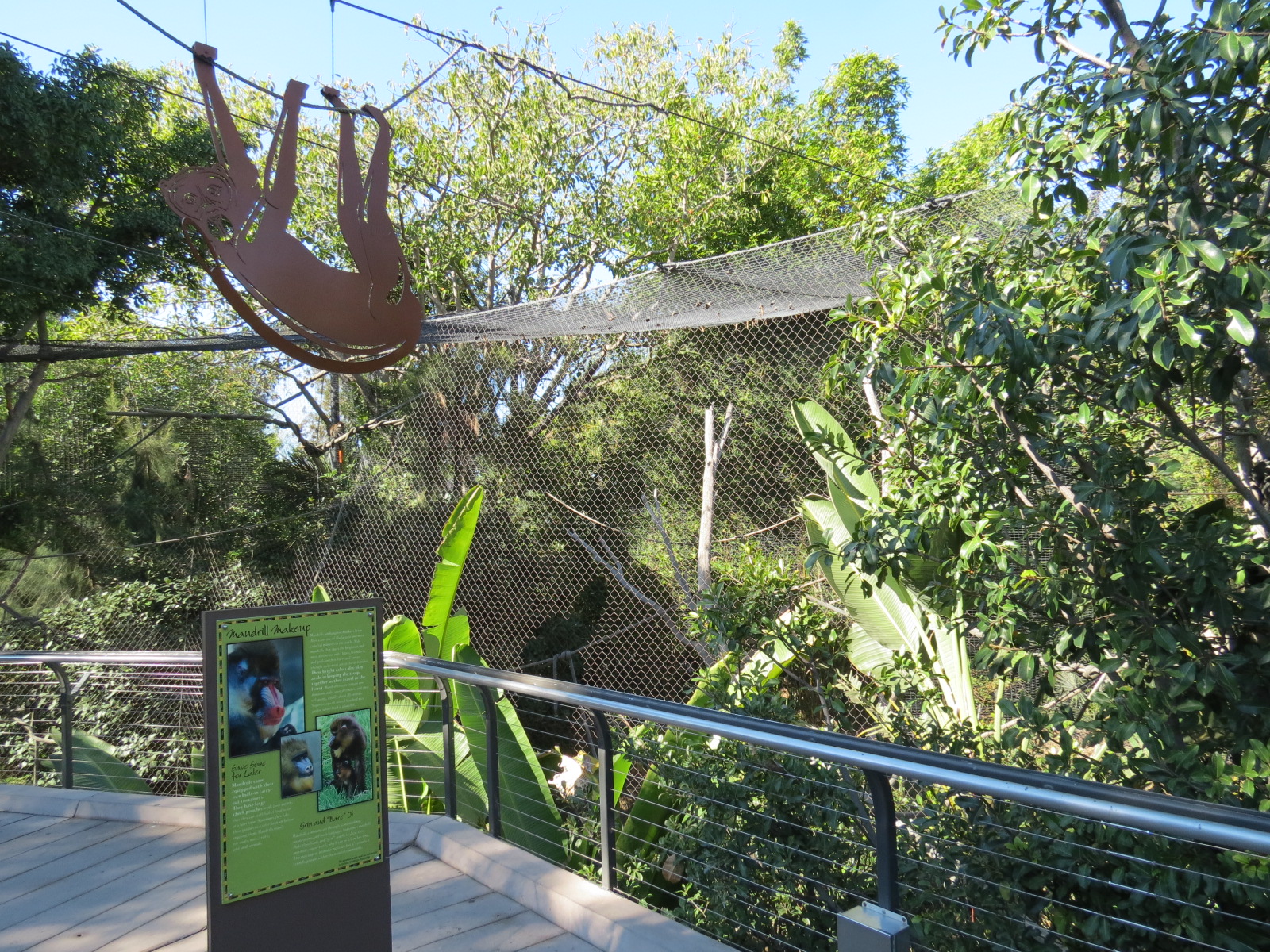 Lost Forest - Monkey Trails and Forest Tails - Mandrill, Schmidt's Spot-nos