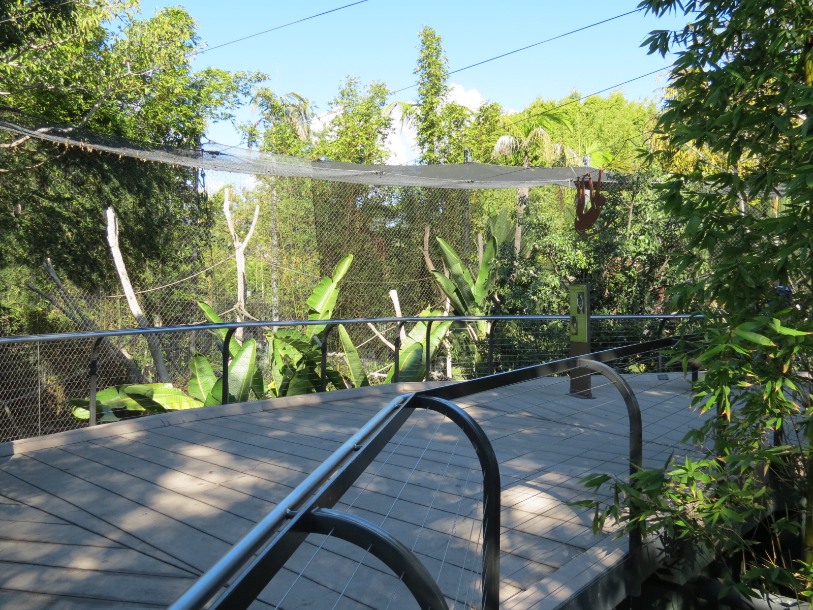 Lost Forest - Monkey Trails and Forest Tails - Mandrill, Schmidt's Spot-nos