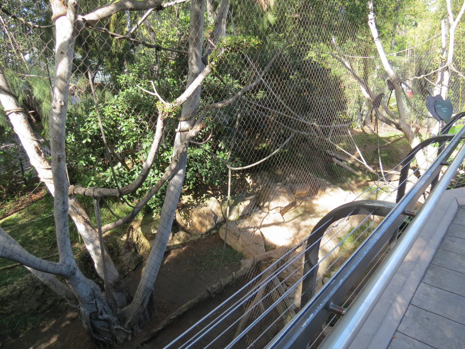 Lost Forest - Monkey Trails and Forest Tails - Mandrill, Schmidt's Spot-nos