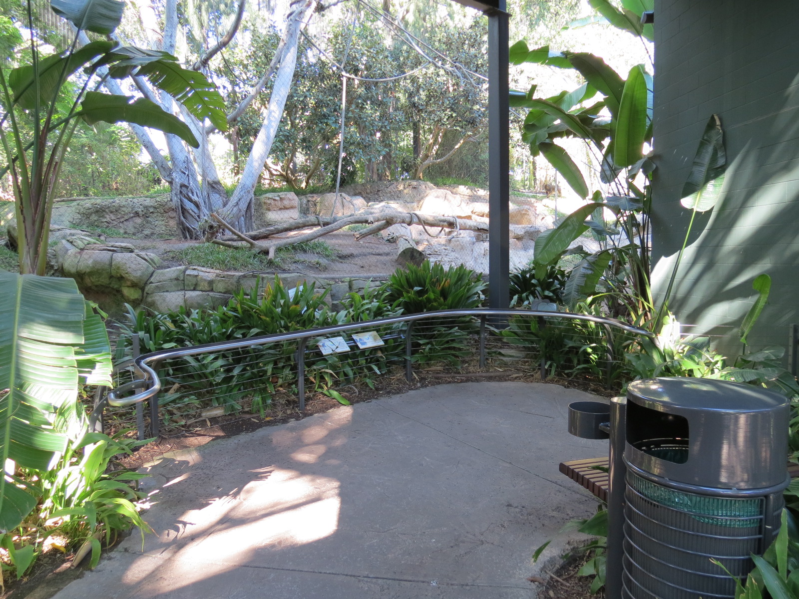 Lost Forest - Monkey Trails and Forest Tails - Mandrill, Schmidt's Spot-nos