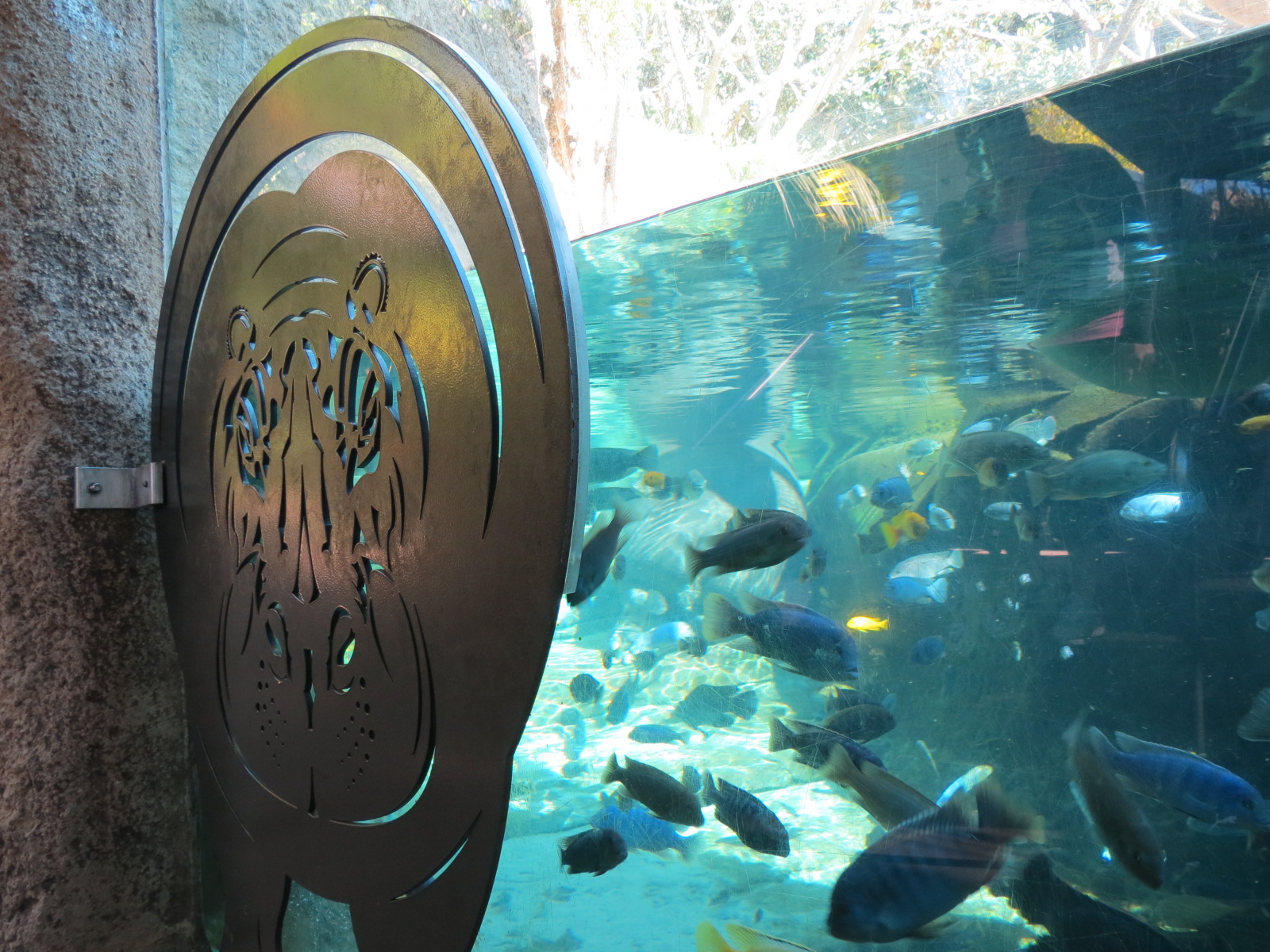 Lost Forest - Monkey Trails and Forest Tails - Pygmy Hippo and Wolf's Gueno