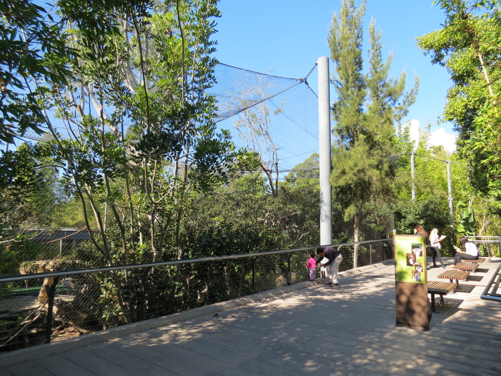 Lost Forest - Monkey Trails and Forest Tails - Pygmy Hippo and Wolf's Gueno