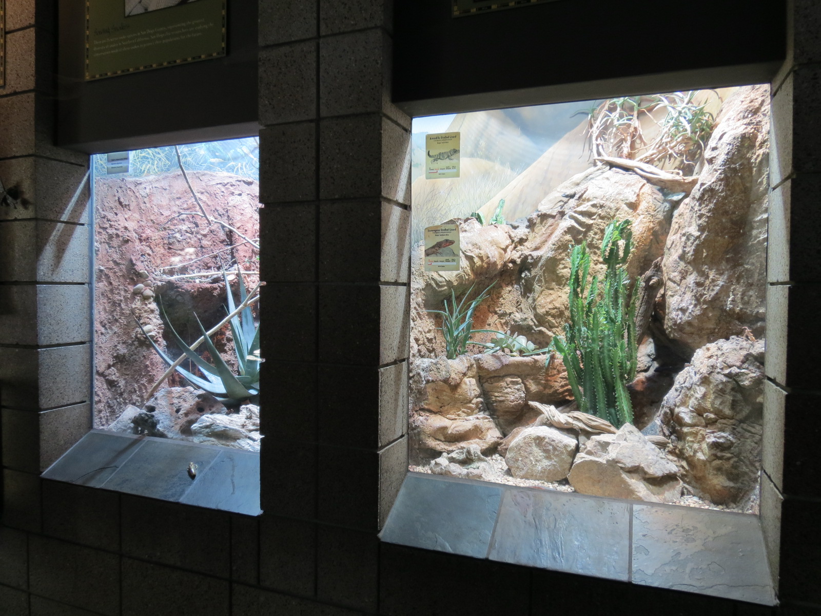 Lost Forest - Monkey Trails and Forest Tails - Reptile Exhibits