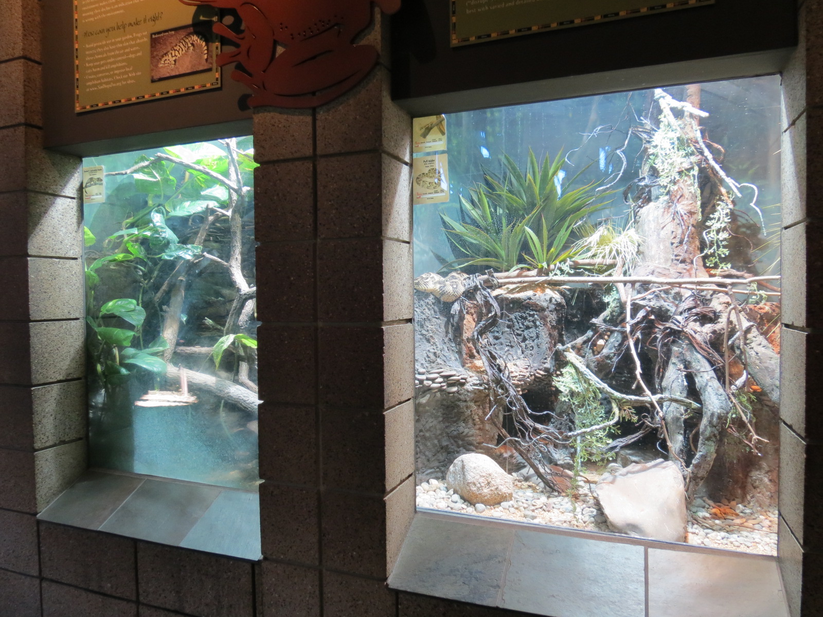 Lost Forest - Monkey Trails and Forest Tails - Reptile Exhibits