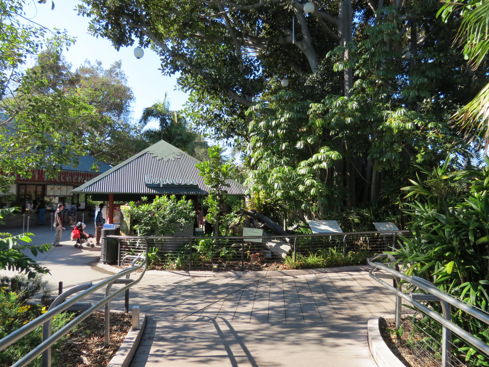 Lost Forest - Monkey Trails and Forest Tails - Safari Kitchen