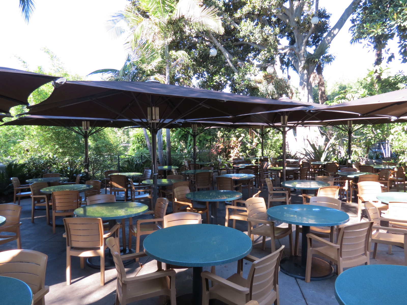 Lost Forest - Monkey Trails and Forest Tails - Safari Kitchen