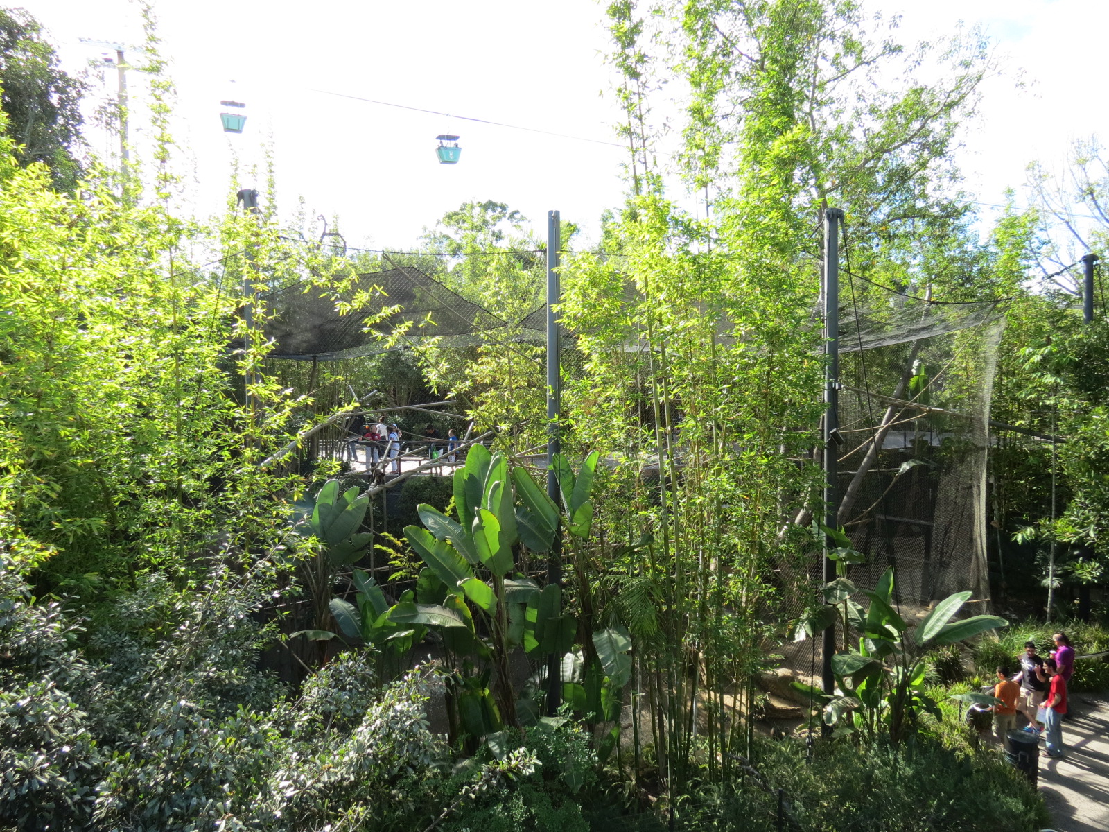 Lost Forest - Monkey Trails and Forest Tails - Tufted Capuchin Exhibit