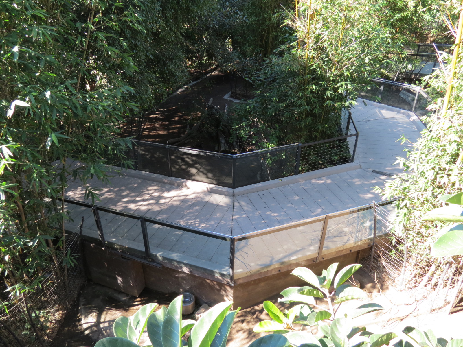 Lost Forest - Monkey Trails and Forest Tails - Walkway Between Babirusa Exh