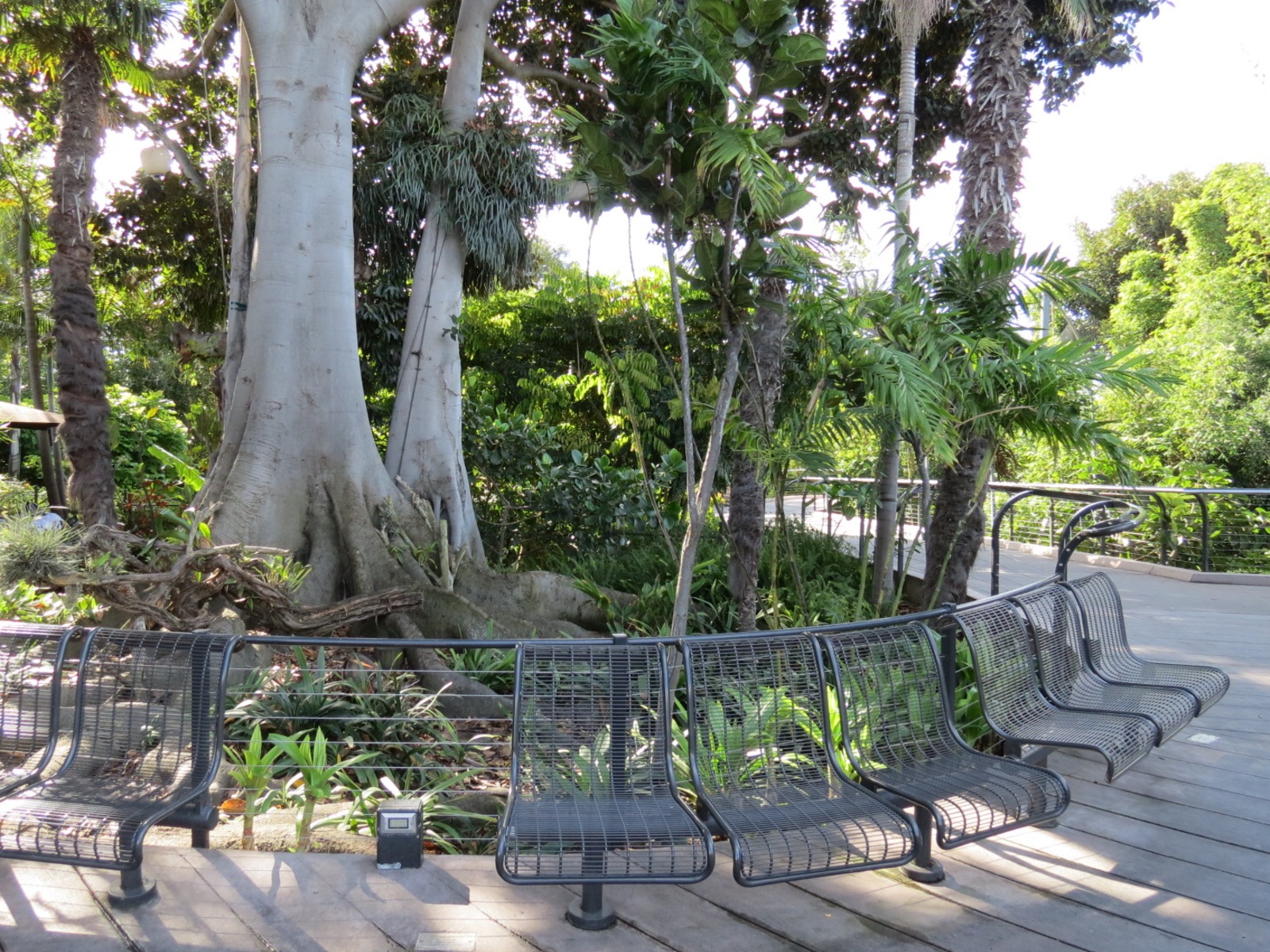 Lost Forest - Monkey Trails and Forest Tails - Walkway Near Flamingo Exhibi