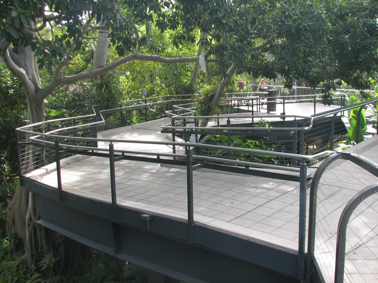 Lost Forest - Monkey Trails and Forest Tales - Elevated Walkway