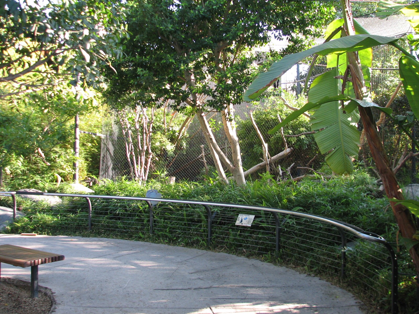 Lost Forest - Monkey Trails and Forest Tales - Gabriellas Crested Gibbon Ex