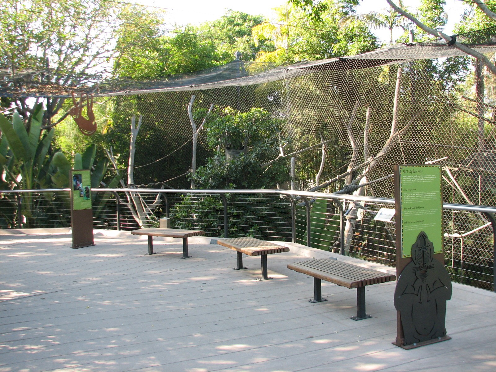 Lost Forest - Monkey Trails and Forest Tales - Mandrill, Schmidts Spot-Nose