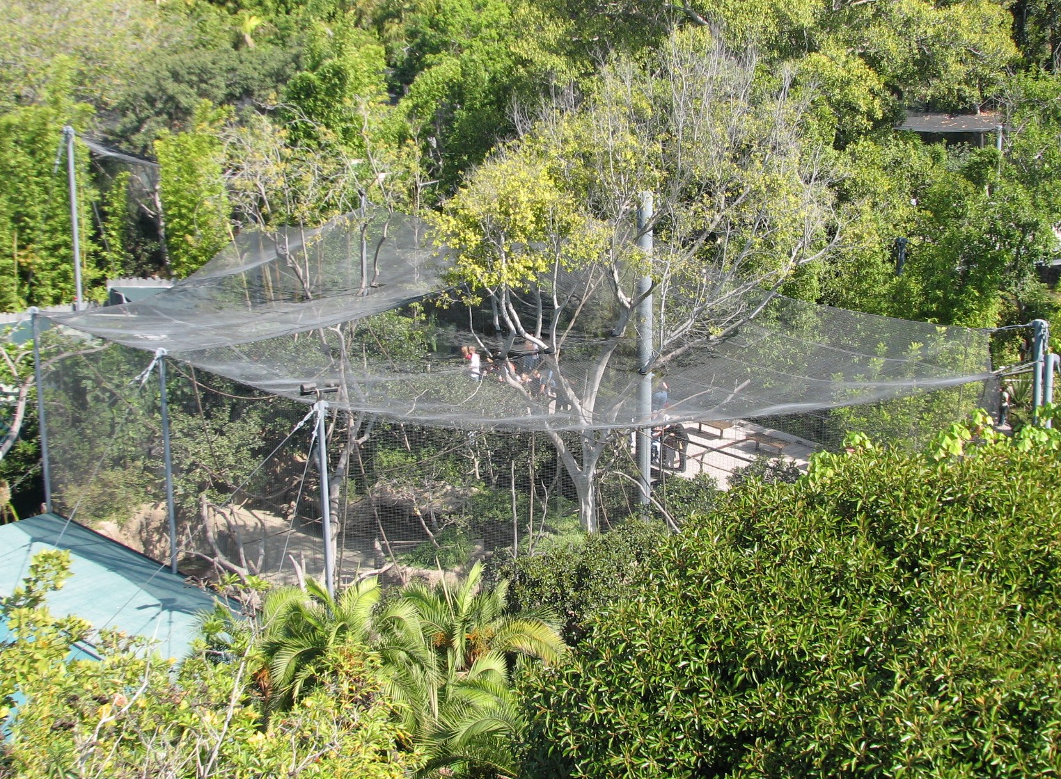 Lost Forest - Monkey Trails and Forest Tales - Overview