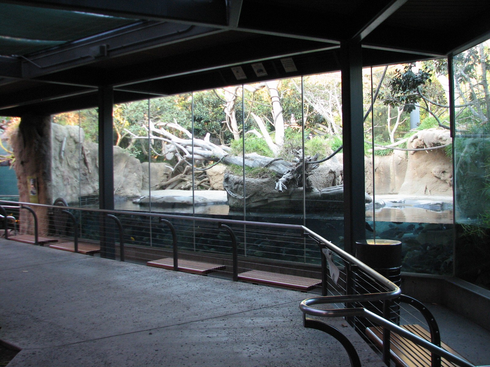 Lost Forest - Monkey Trails and Forest Tales - Pygmy Hippo and Wolfs Guenon