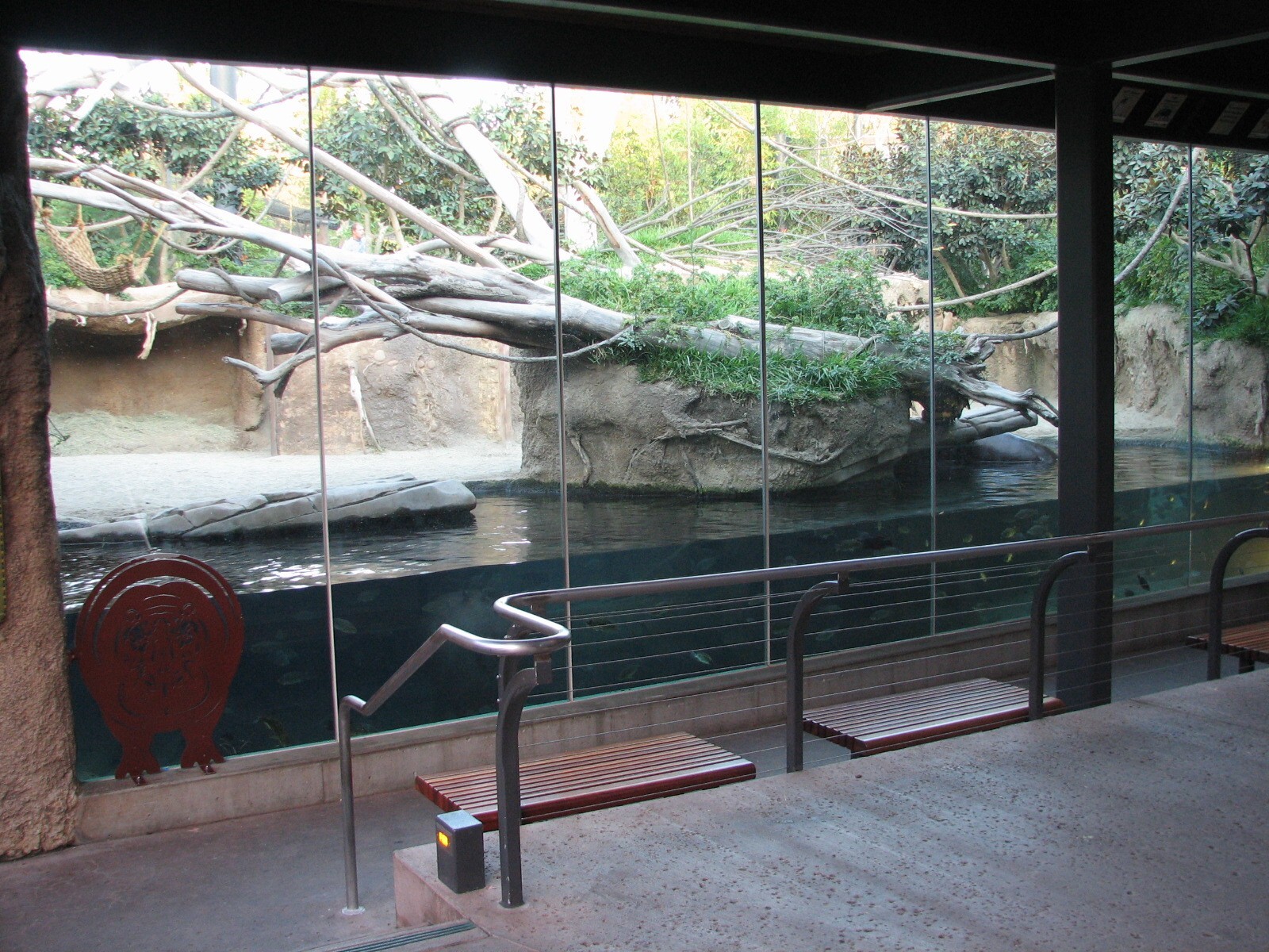 Lost Forest - Monkey Trails and Forest Tales - Pygmy Hippo and Wolfs Guenon