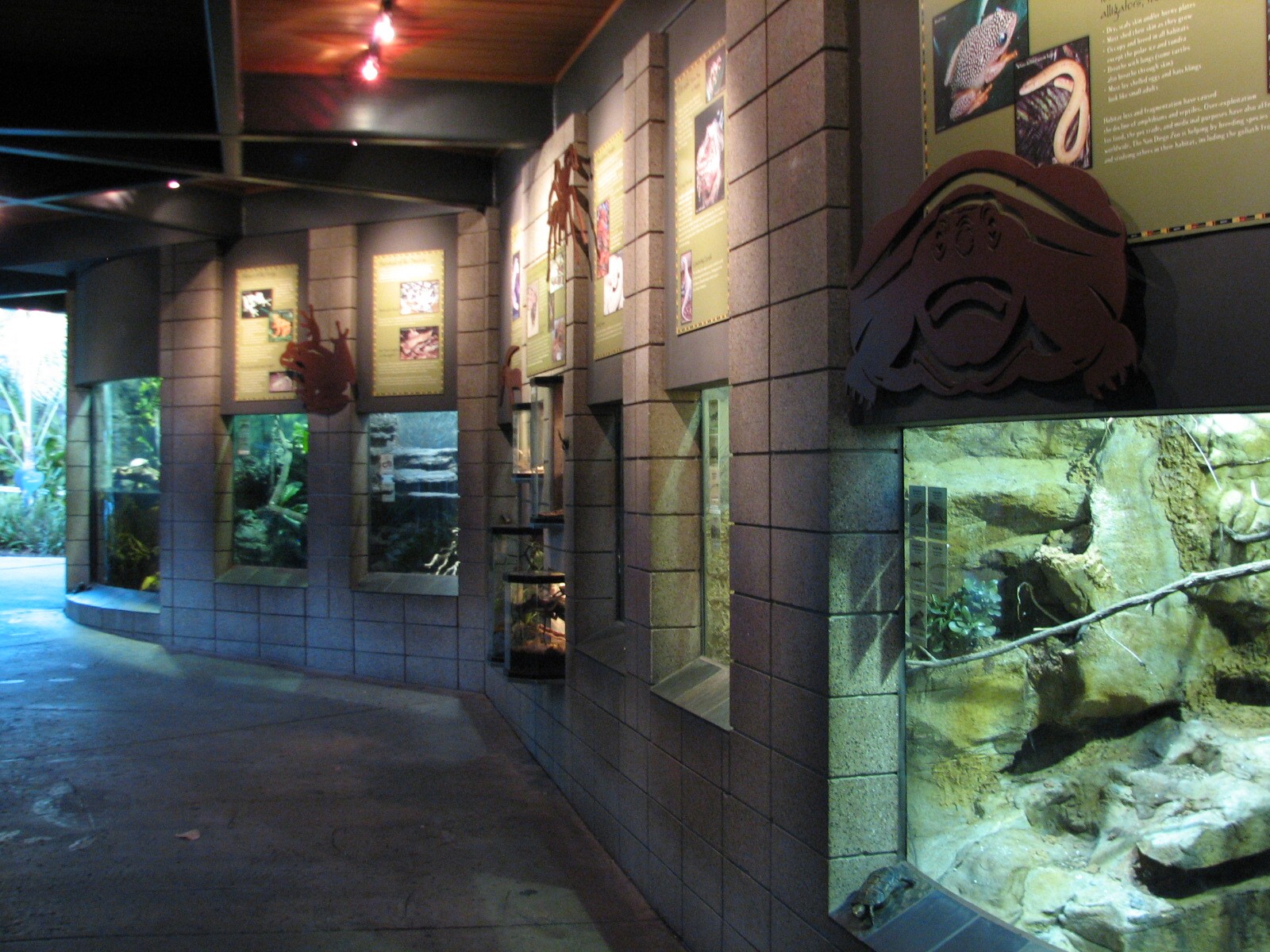Lost Forest - Monkey Trails and Forest Tales - Reptile and Amphibian Exhibi