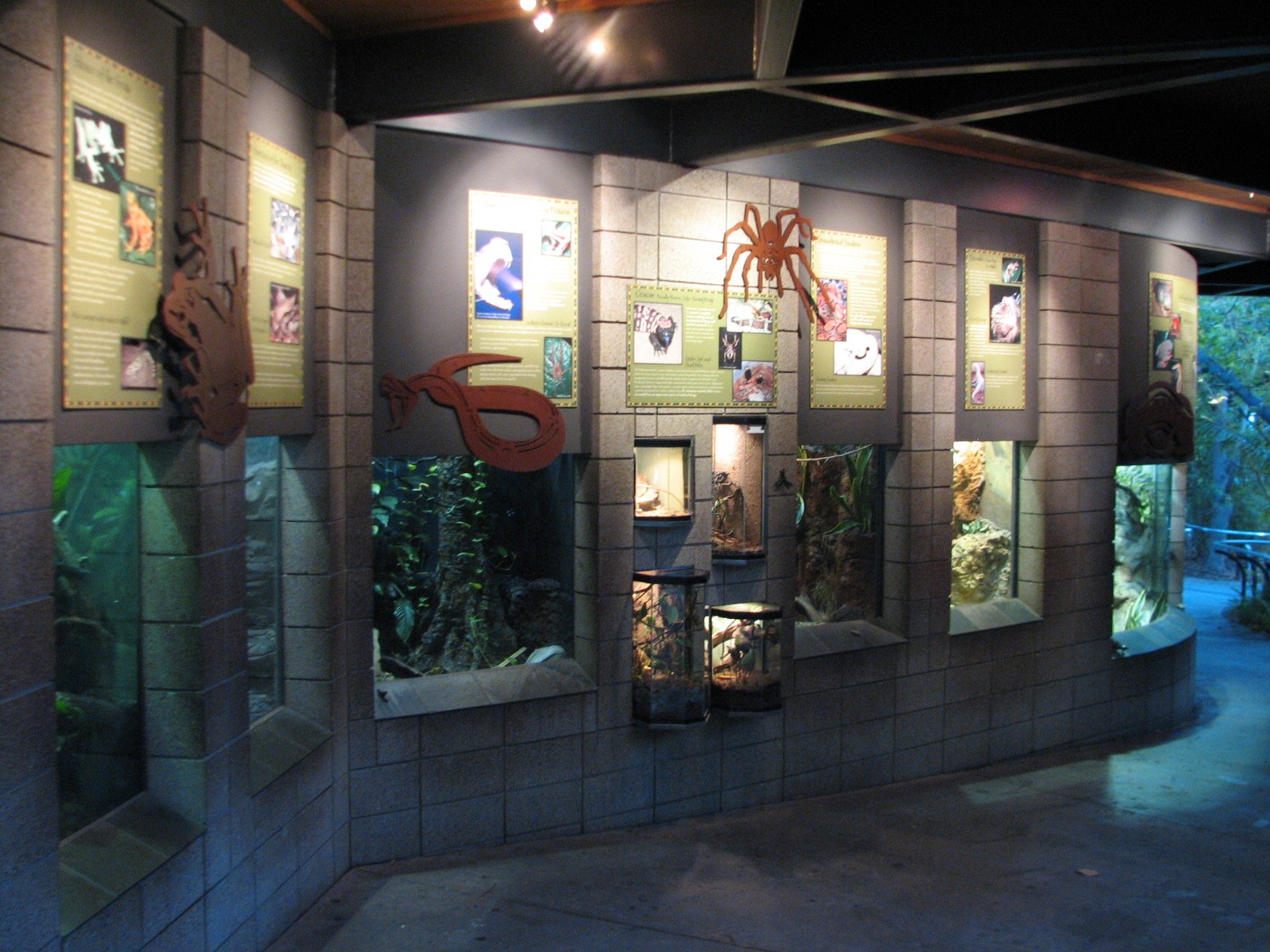 Lost Forest - Monkey Trails and Forest Tales - Reptile and Amphibian Exhibi