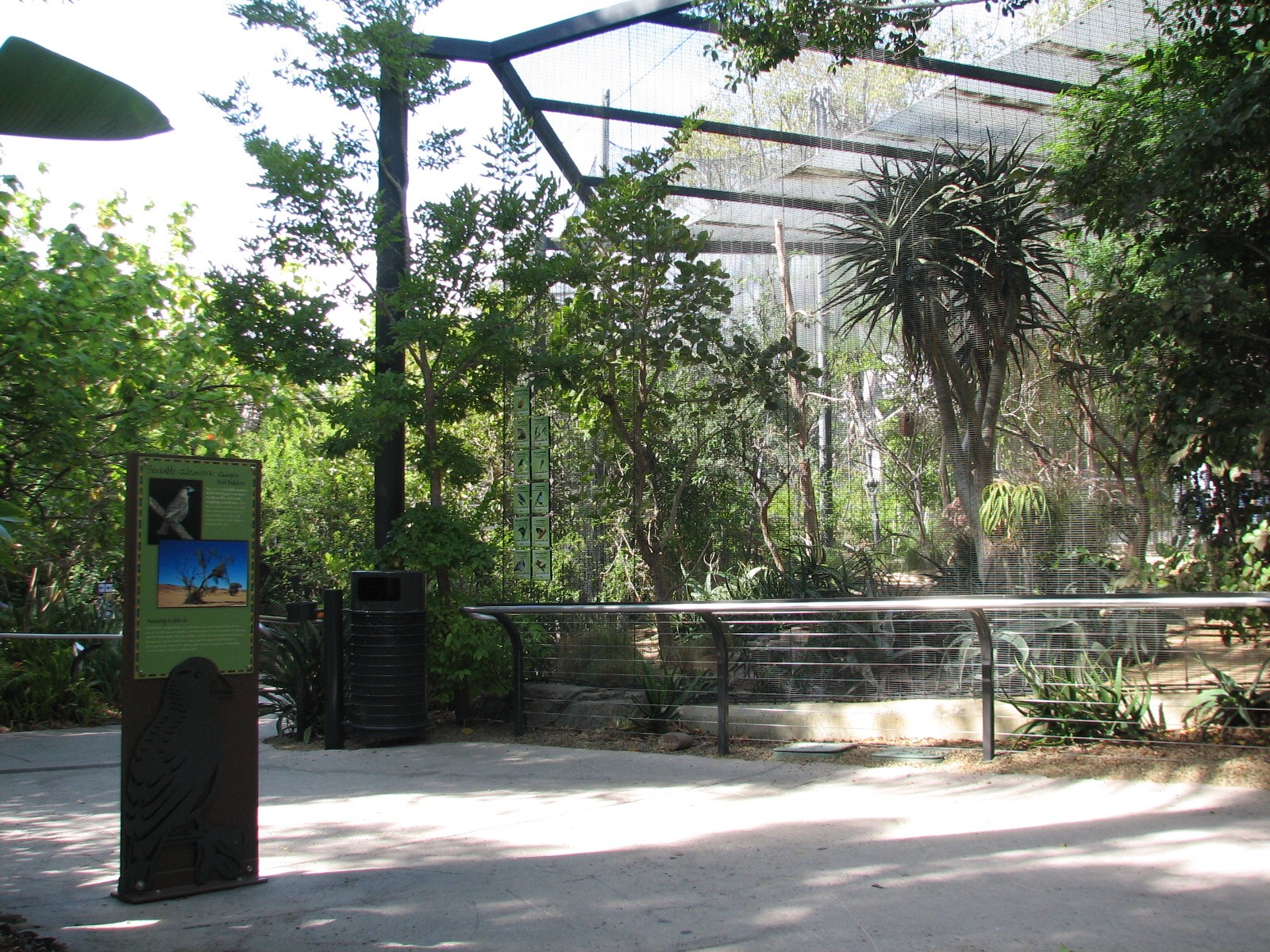 Lost Forest - Monkey Trails and Forest Tales - Weaver Aviary