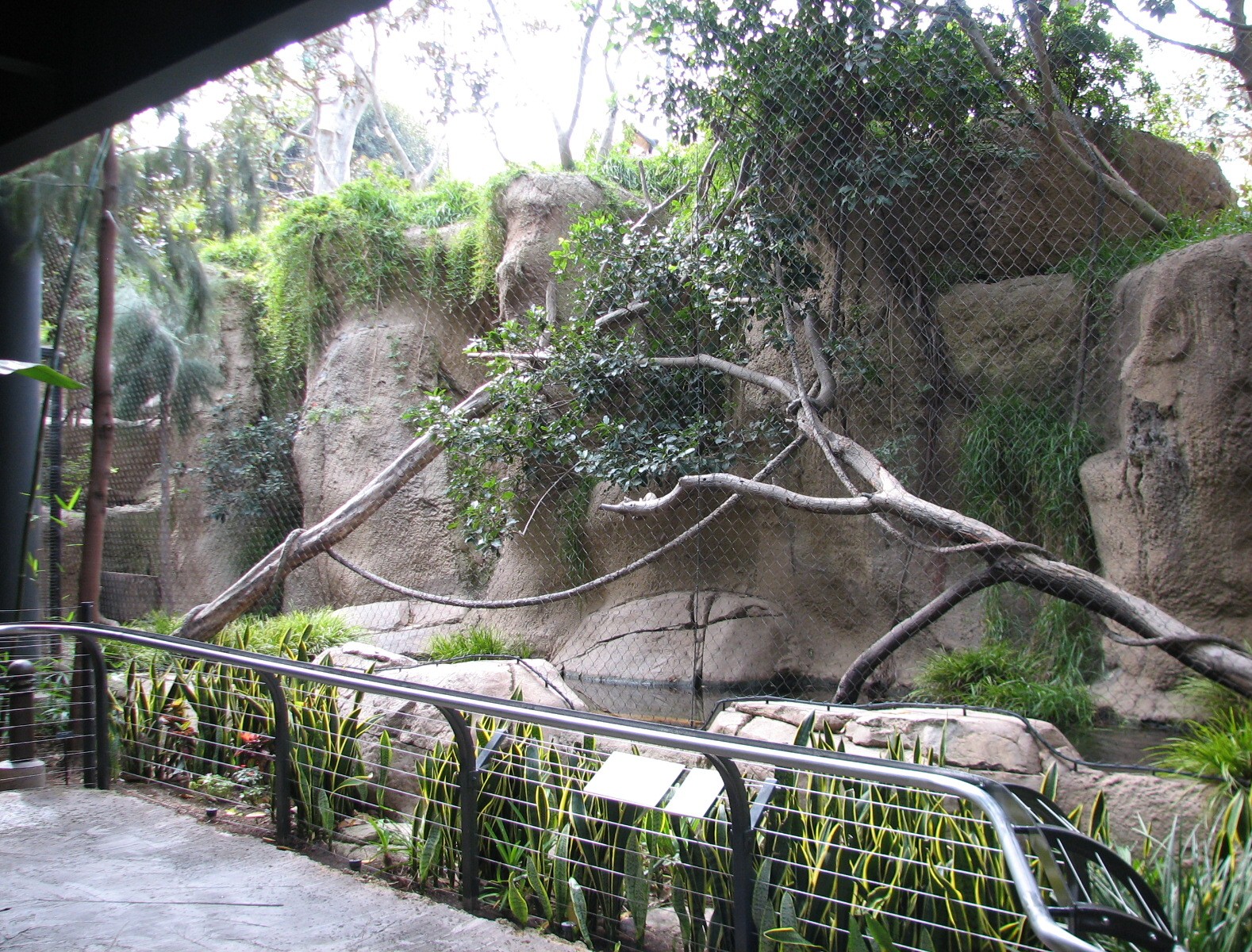 Lost Forest - Monkey Trails and Forest Tales - Wolfs Guenon and Pygmy Hippo