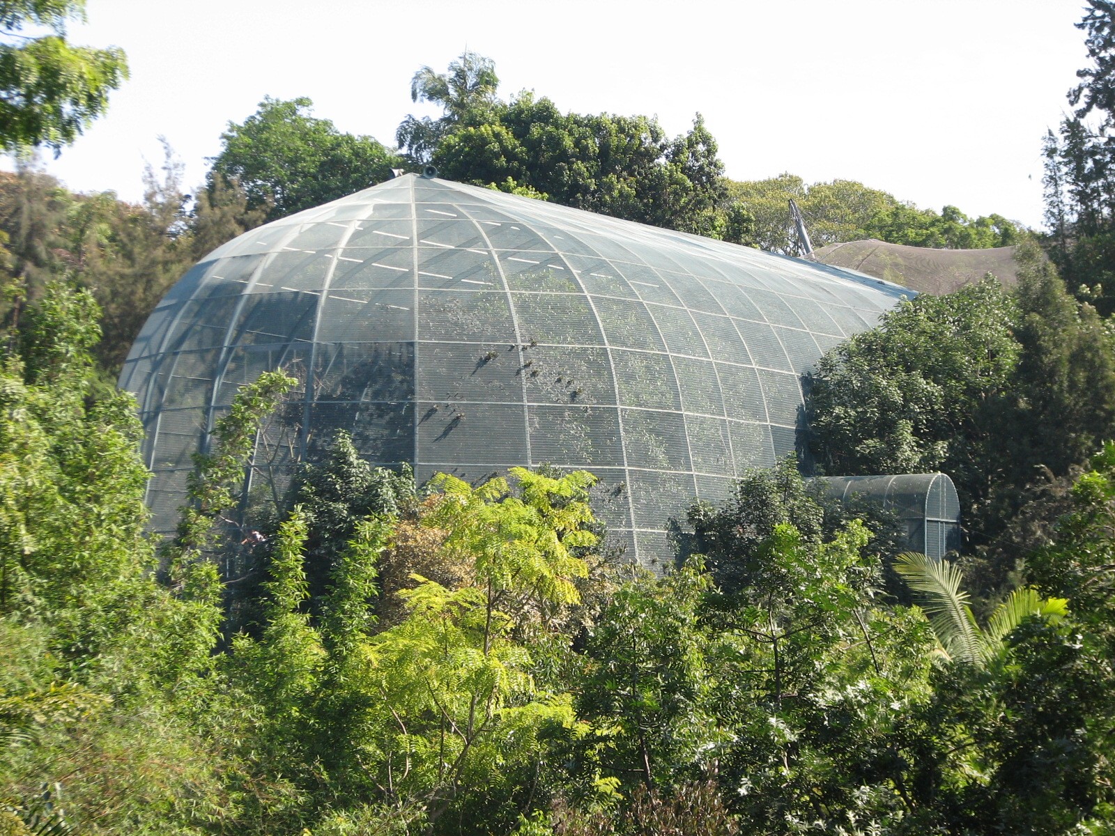 Lost Forest - Owens Aviary