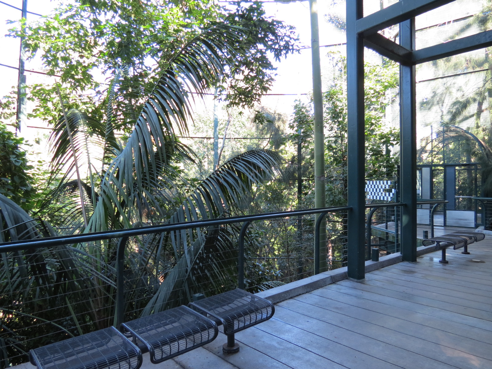 Lost Forest - Owens Aviary