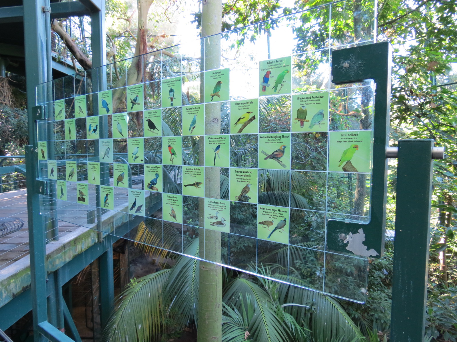 Lost Forest - Owens Aviary