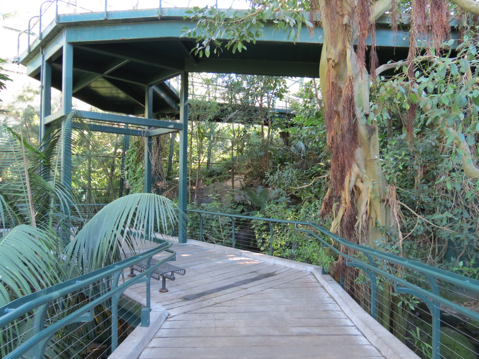 Lost Forest - Owens Aviary