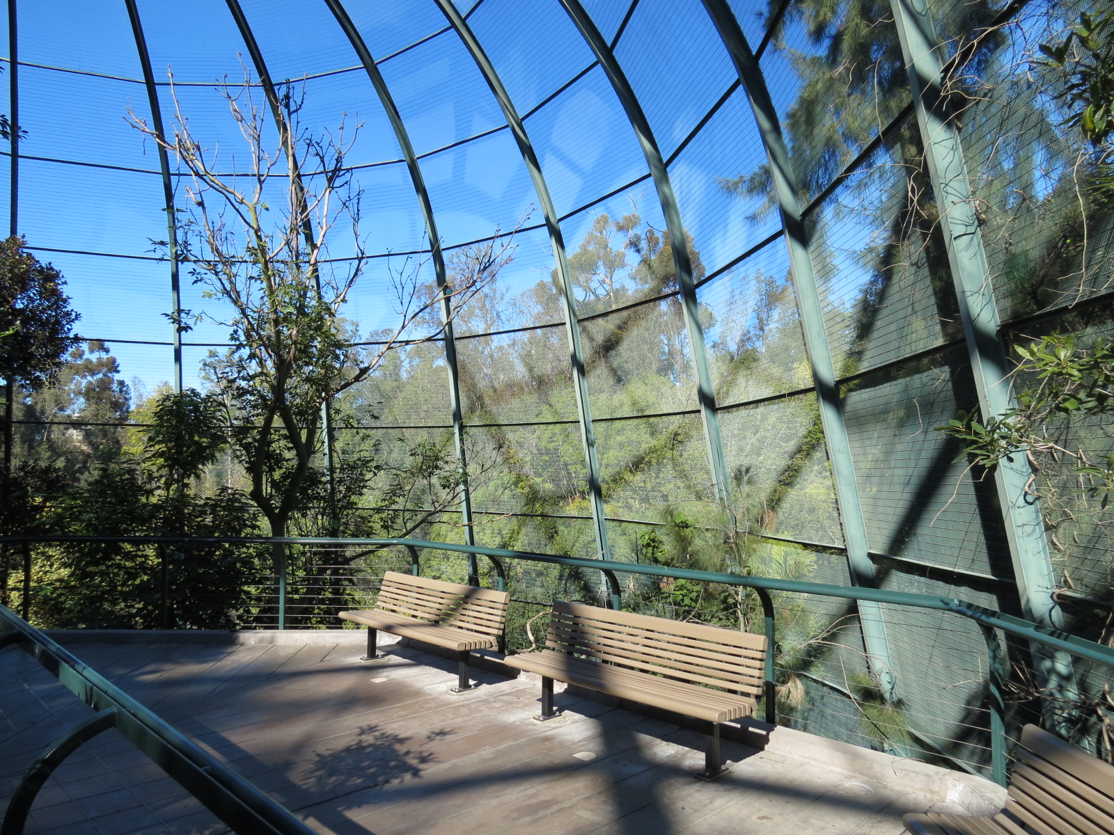 Lost Forest - Owens Aviary