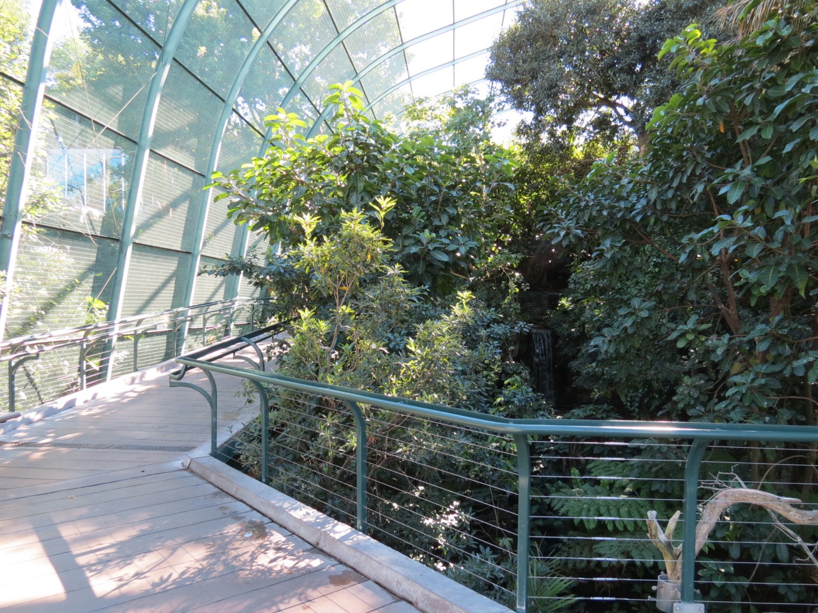 Lost Forest - Owens Aviary