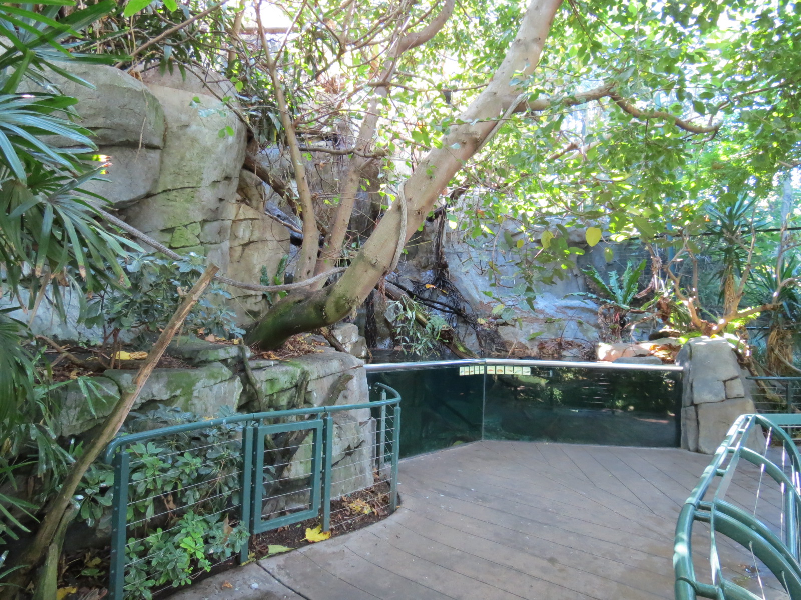 Lost Forest - Owens Aviary