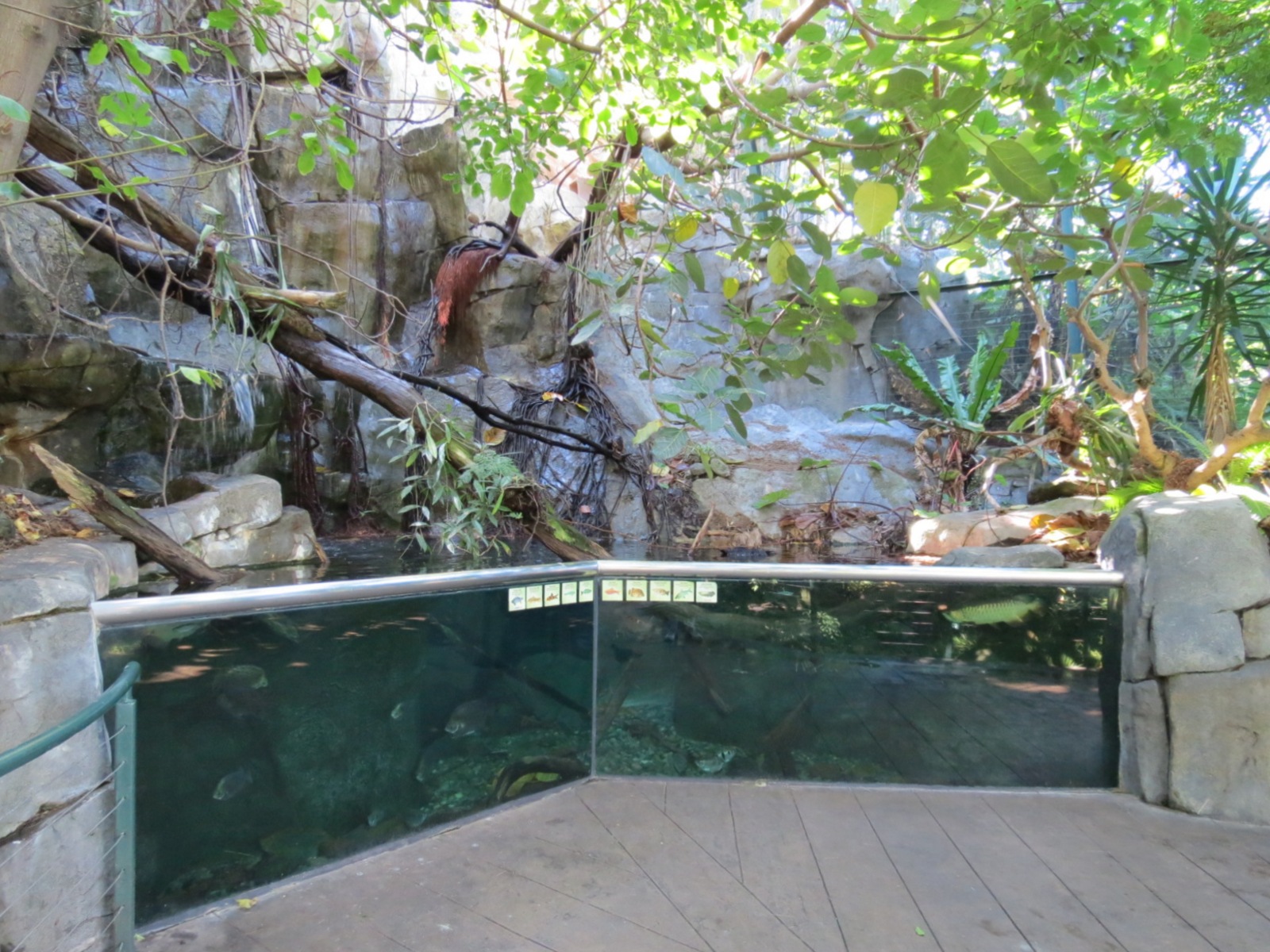 Lost Forest - Owens Aviary