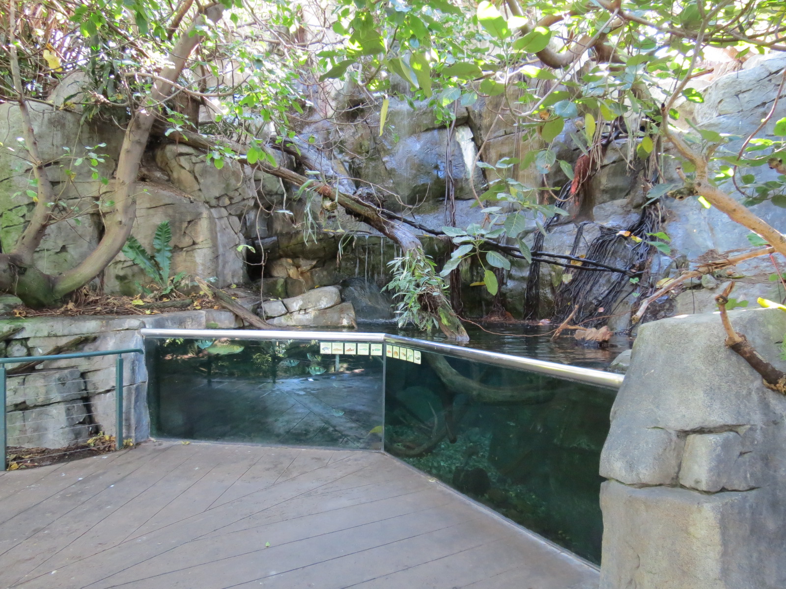 Lost Forest - Owens Aviary