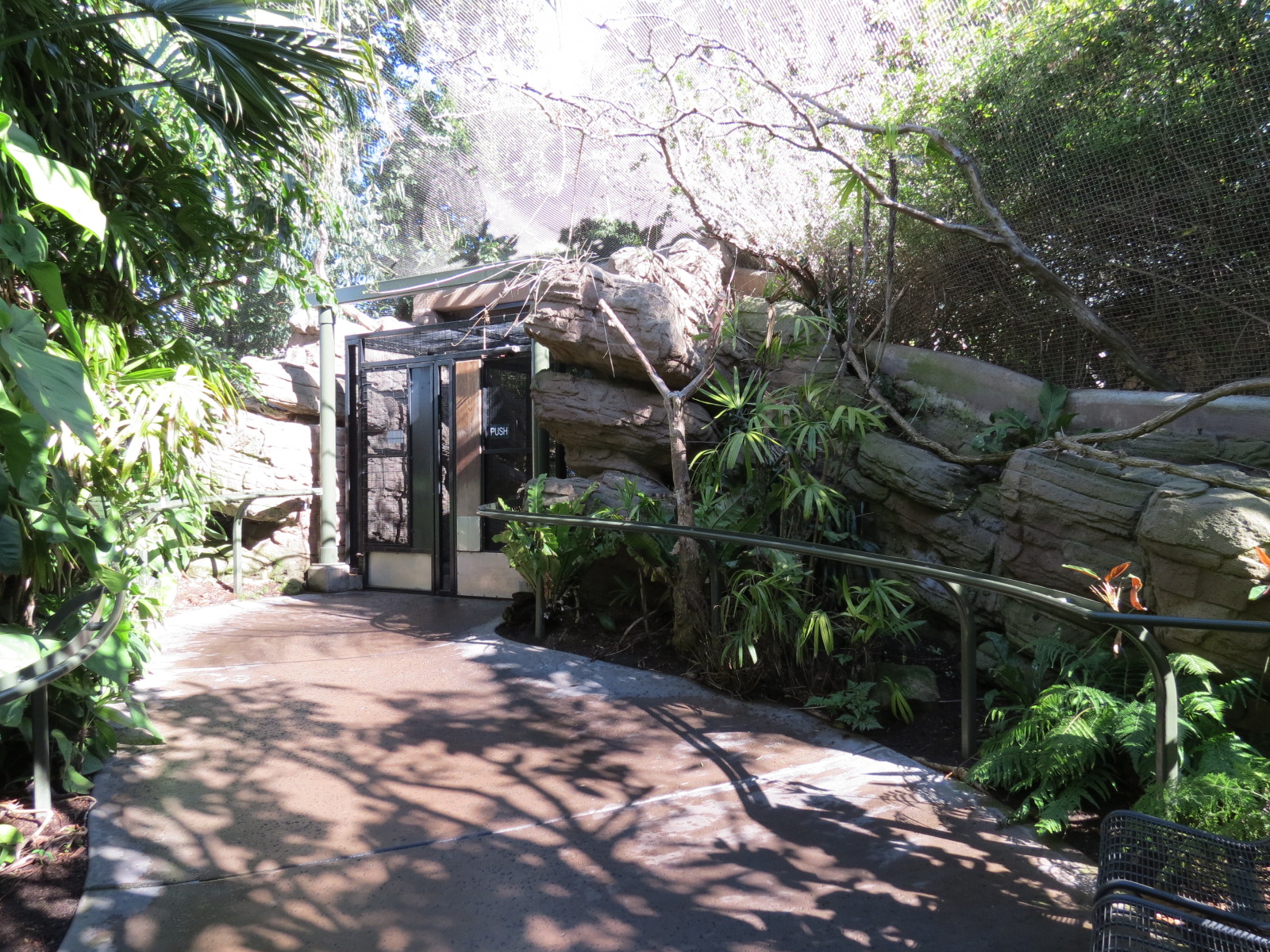 Lost Forest - Parker Aviary