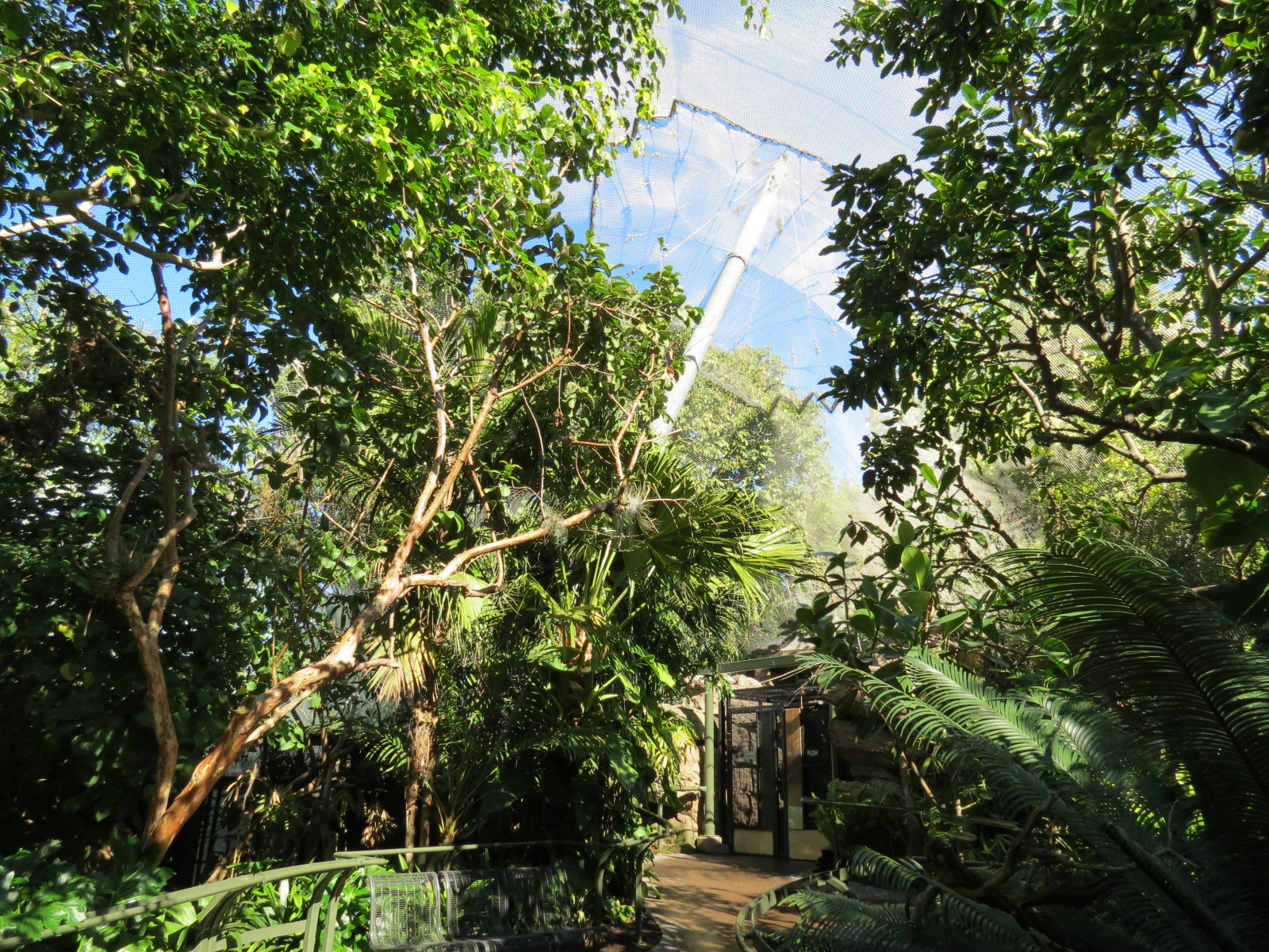 Lost Forest - Parker Aviary