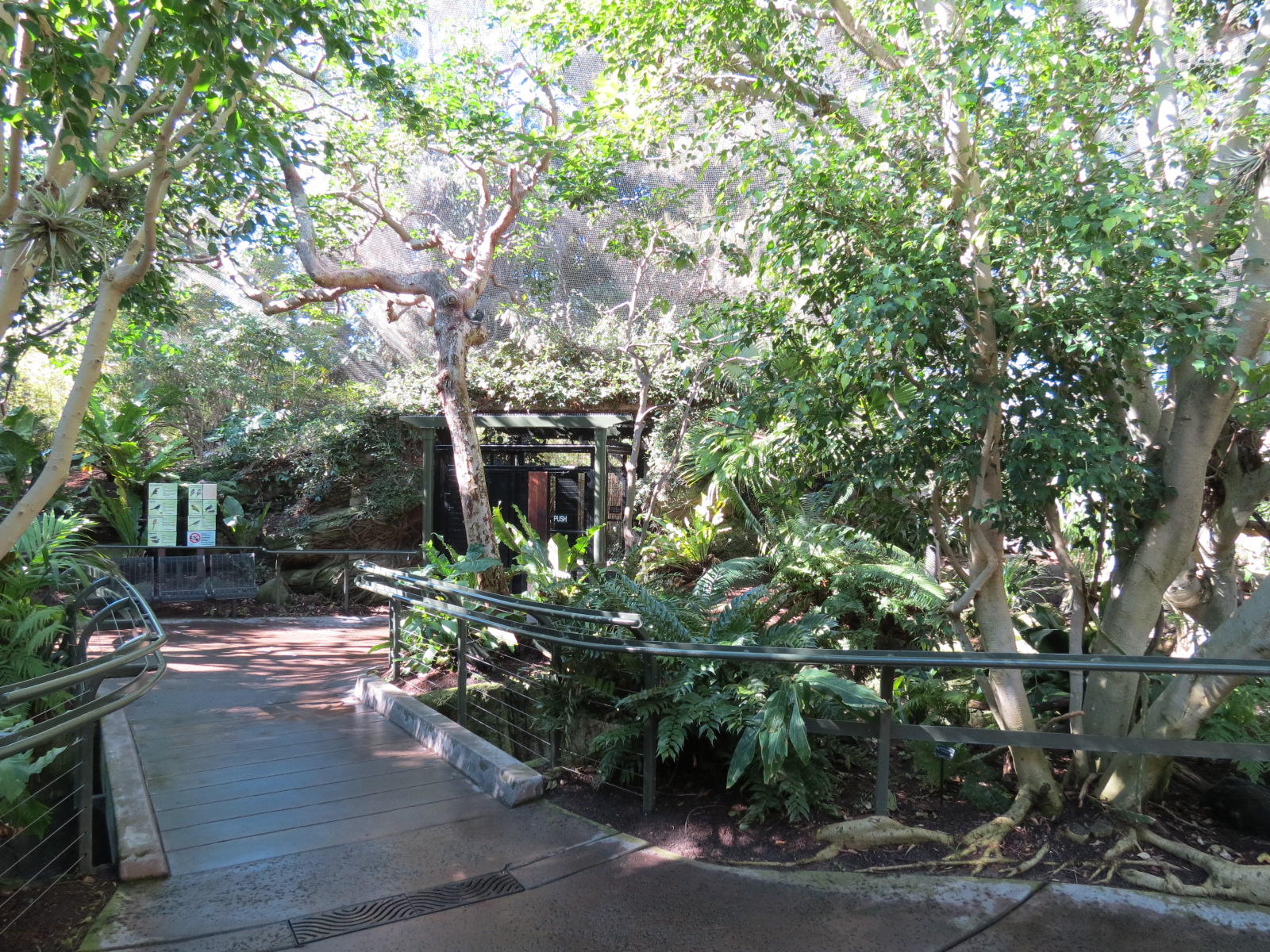 Lost Forest - Parker Aviary