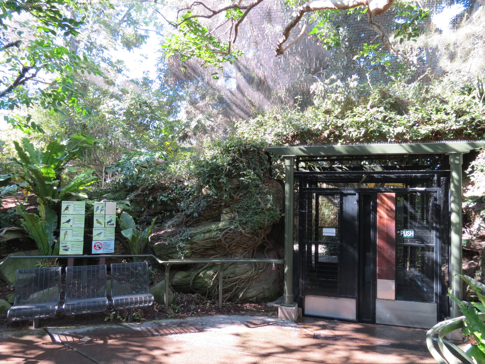 Lost Forest - Parker Aviary