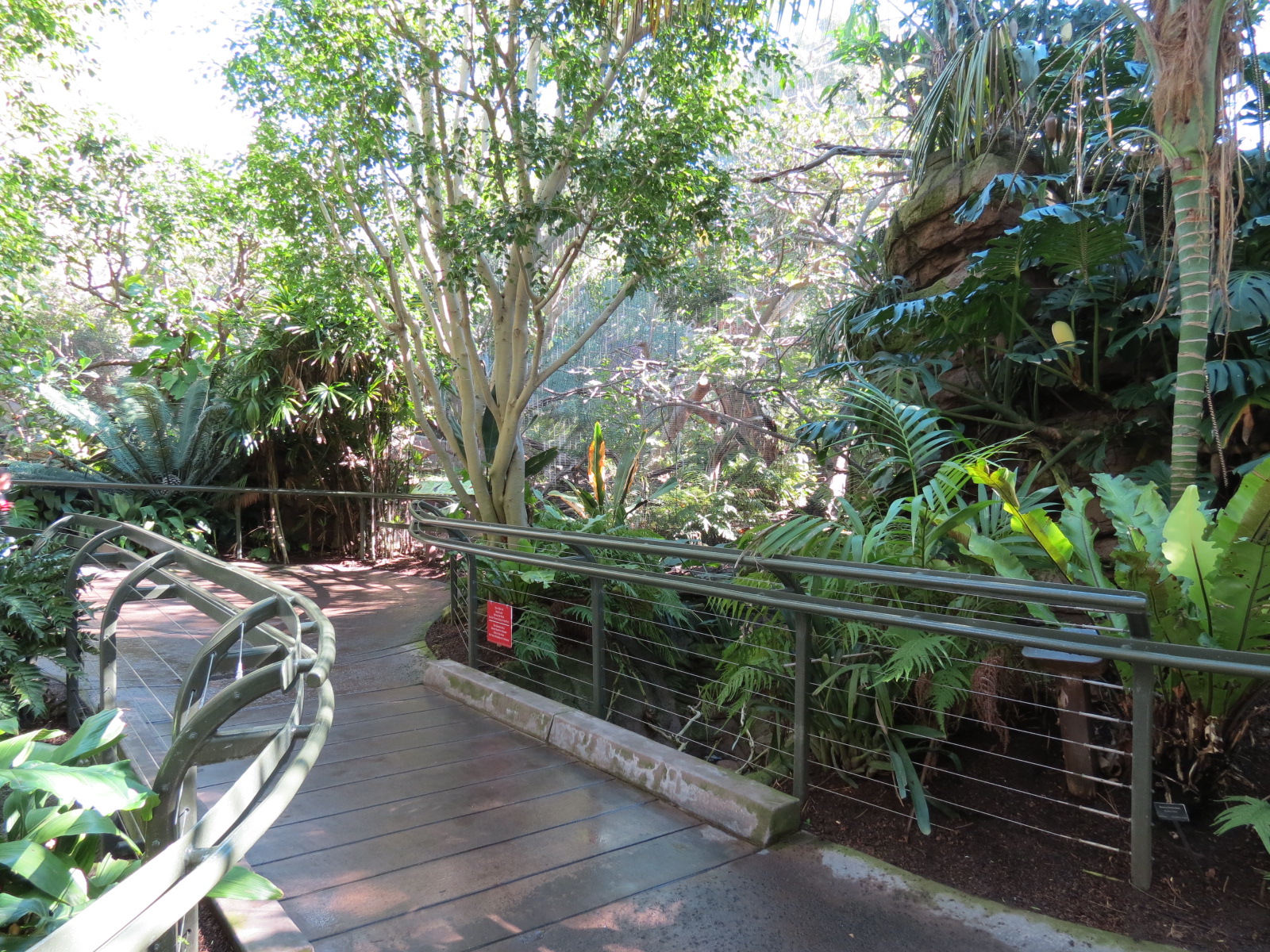 Lost Forest - Parker Aviary