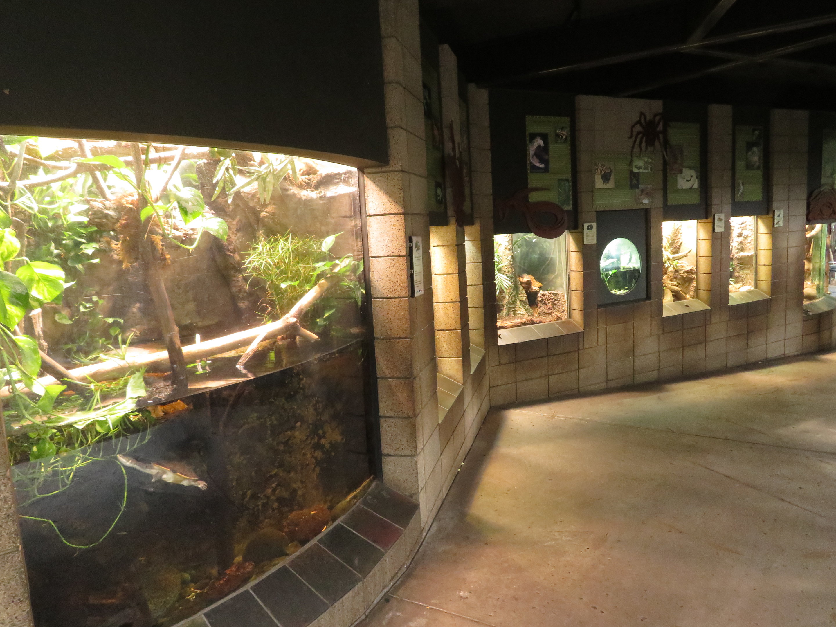 Lost Forest Reptile Exhibits