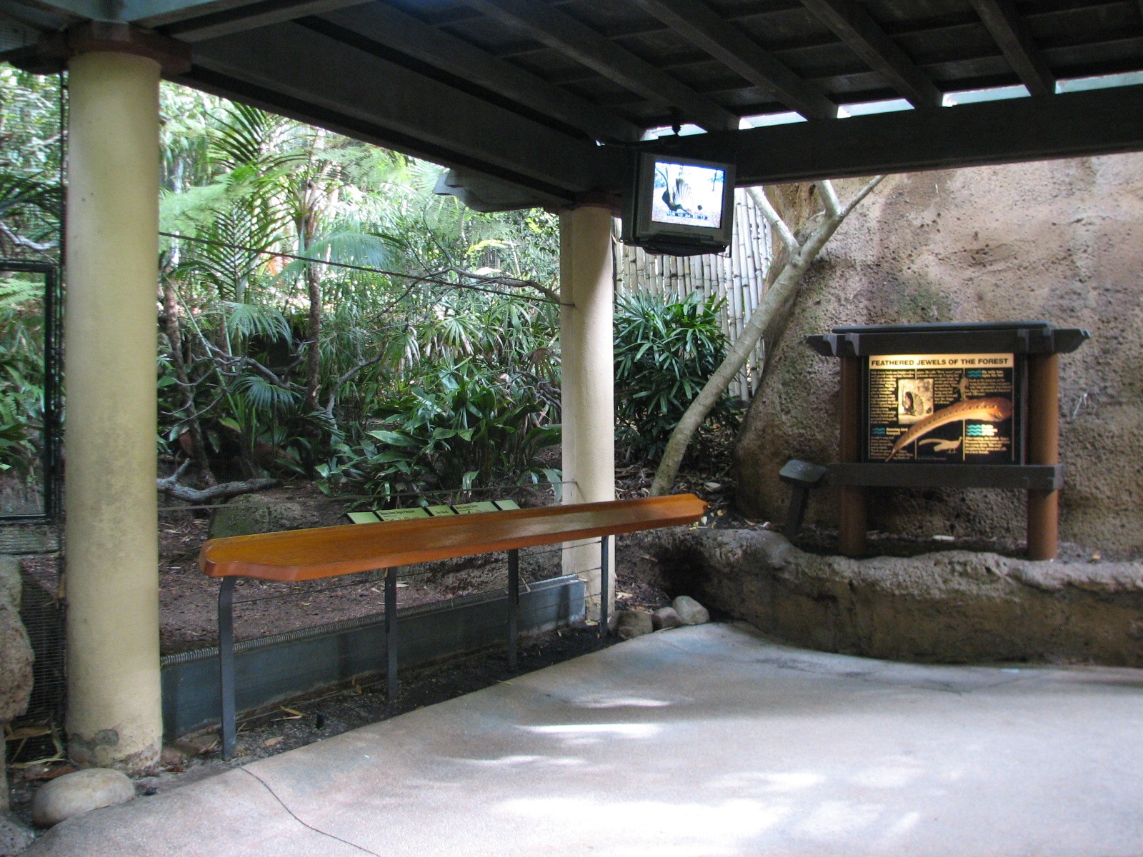 Lost Forest - Tiger River - Argus Pheasant Exhibit