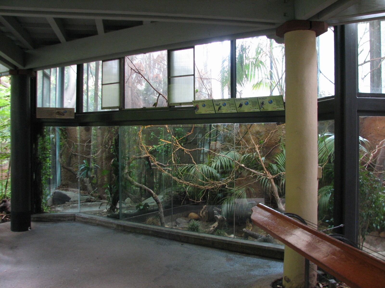 Lost Forest - Tiger River - Aviary and Python Exhibits