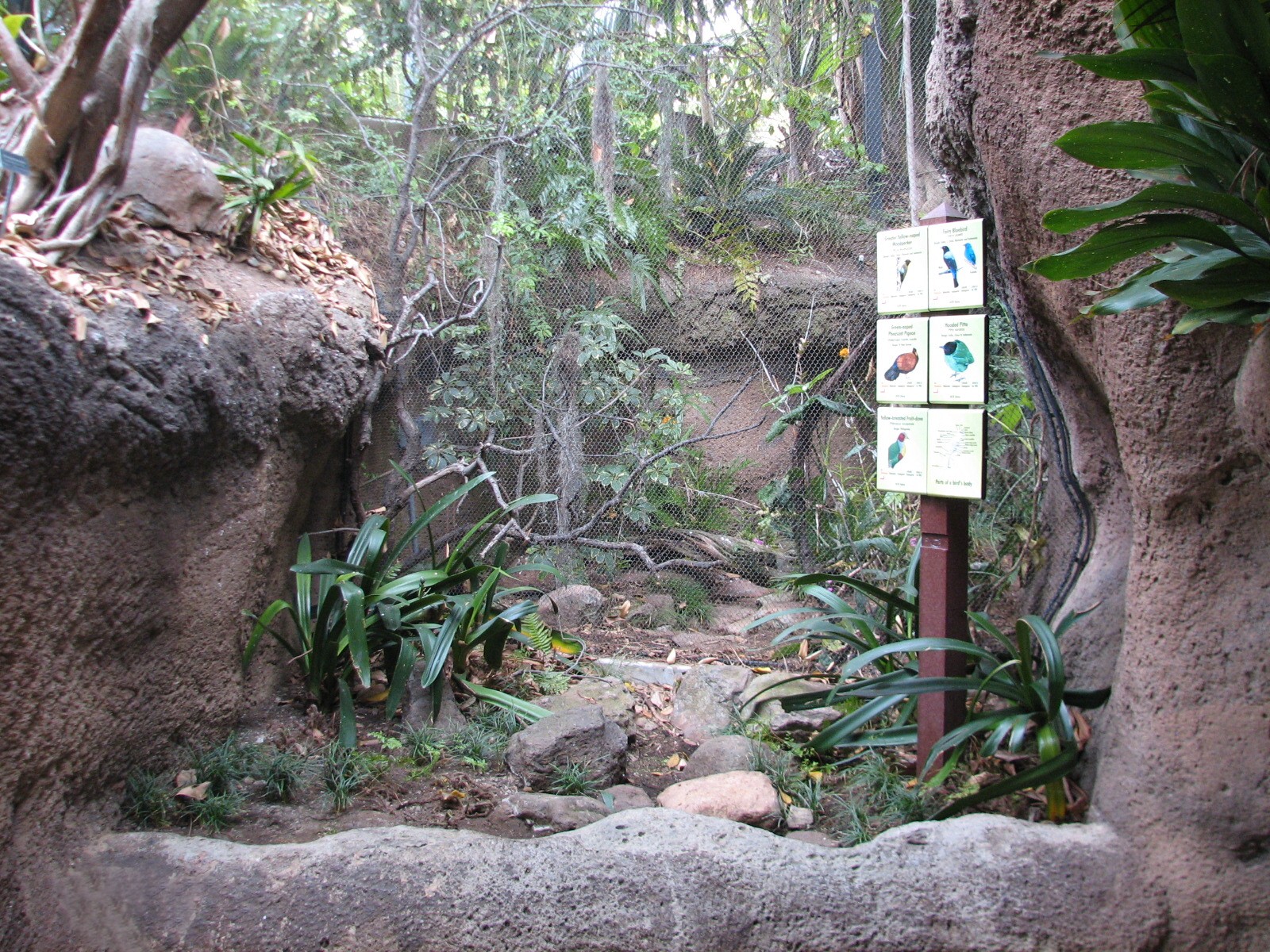 Lost Forest - Tiger River - Aviary